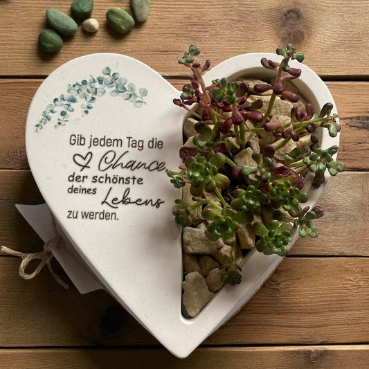 HERZ MIT SUKKULENTE