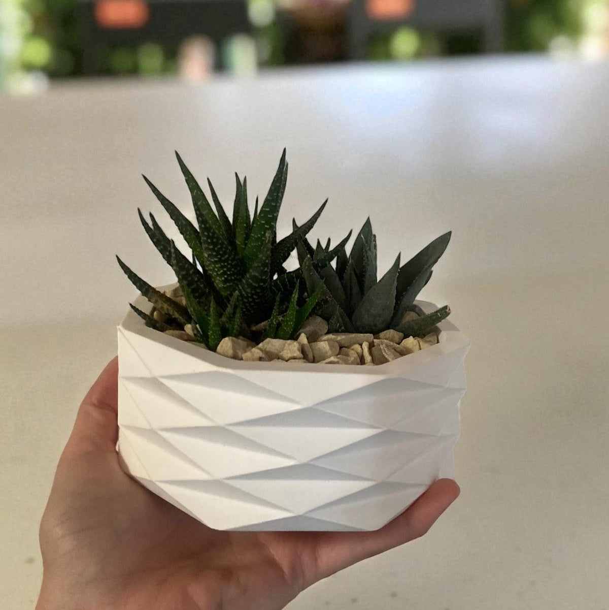 DESIGN-SCHALE "SUKKI"