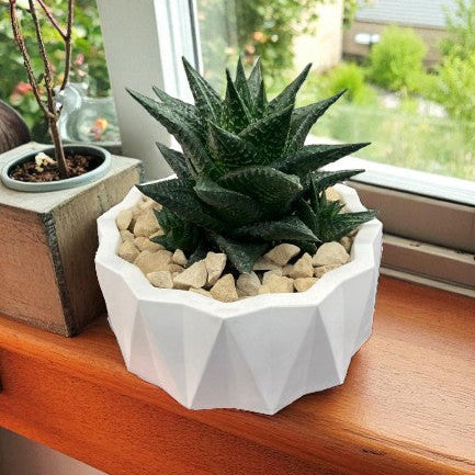 DESIGN-SCHALE "SUKKI"